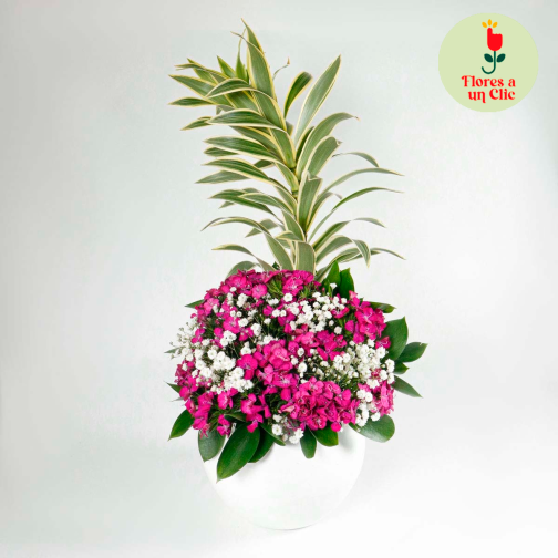Bombonera primaveral indu