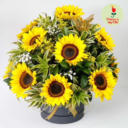 Tambor girasoles