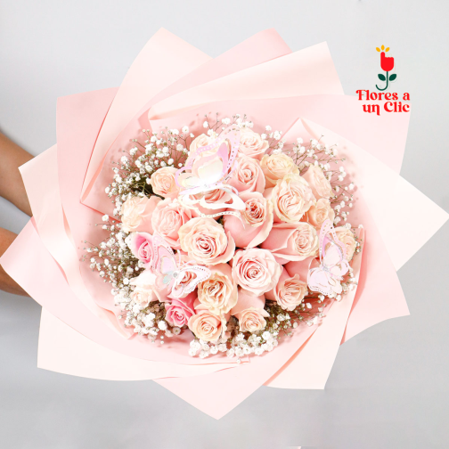 Buchon 24 rosas pink