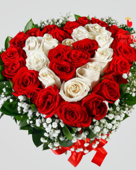 Corazon Reconciliación