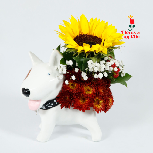 Doggy white