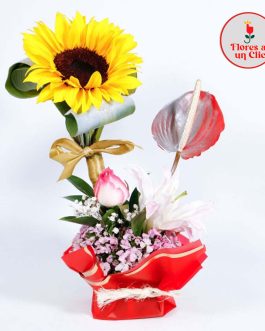 Pocket girasol