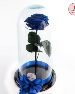 Rosa Preservada Azul Oscura