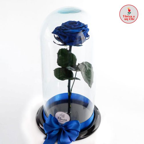 Rosa Preservada Azul Oscura