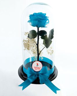 Rosa Preservada Cyam o Azul Claro