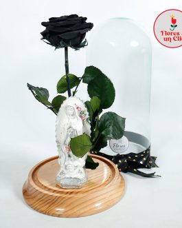 Rosa Preservada Negra