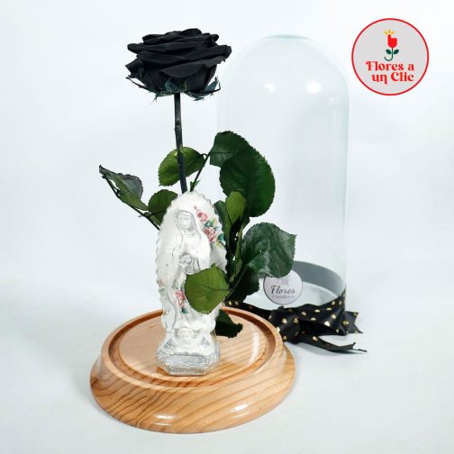 Rosa Preservada Negra
