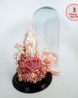 Rosa Preservada  Pink