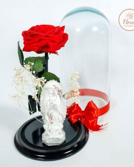 Rosa Preservada roja