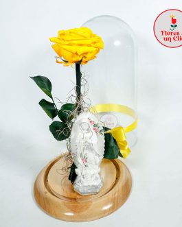 Rosa Preservada Amarilla