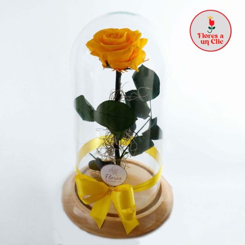 Rosa Eterna
