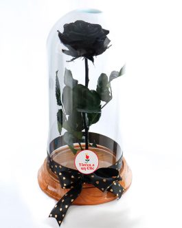 Rosa Preservada Black
