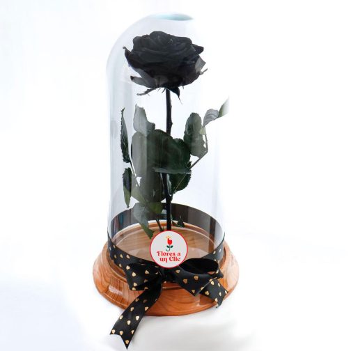 Rosa Preservada Black