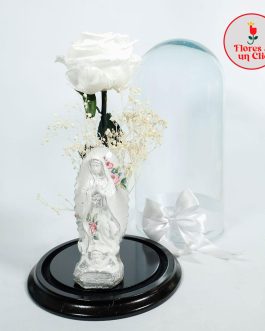Rosa Preservada  Blanca
