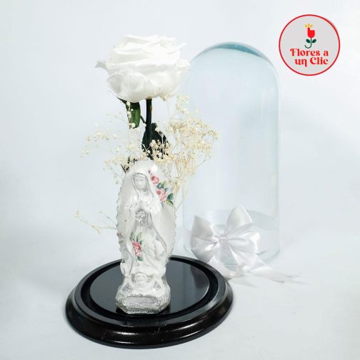 Rosa Preservada  Blanca