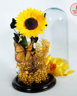 Girasol Mariposa Preservado