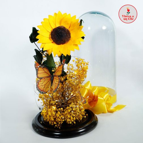 Girasol Mariposa Preservado