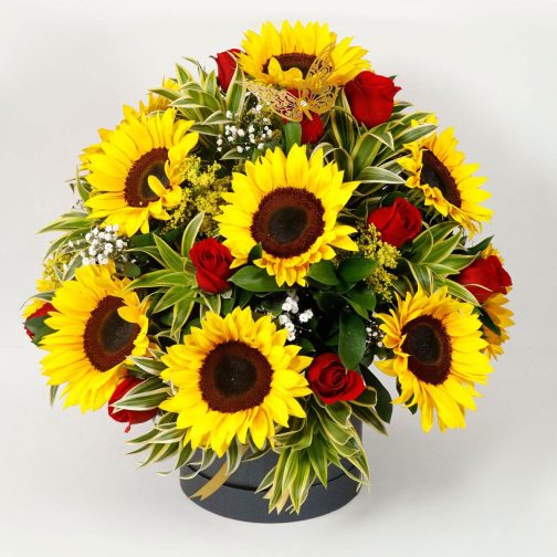 Tambor girasol rosas